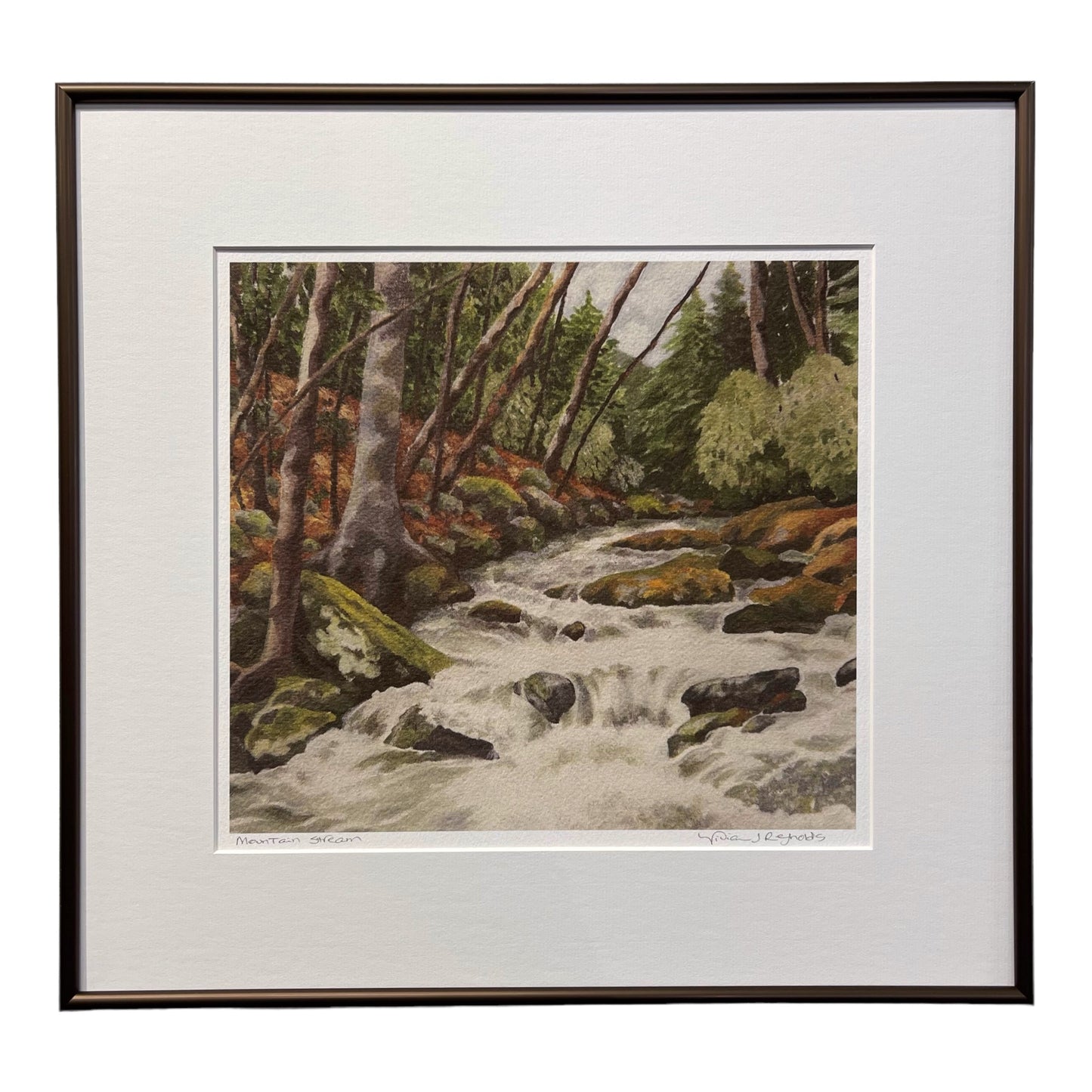 Mountain Stream