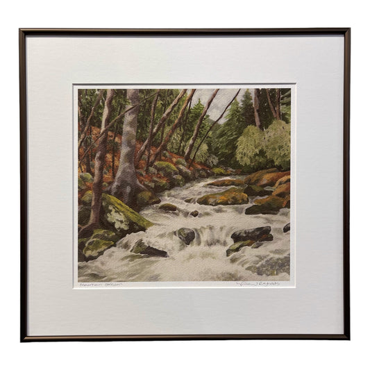 Mountain Stream