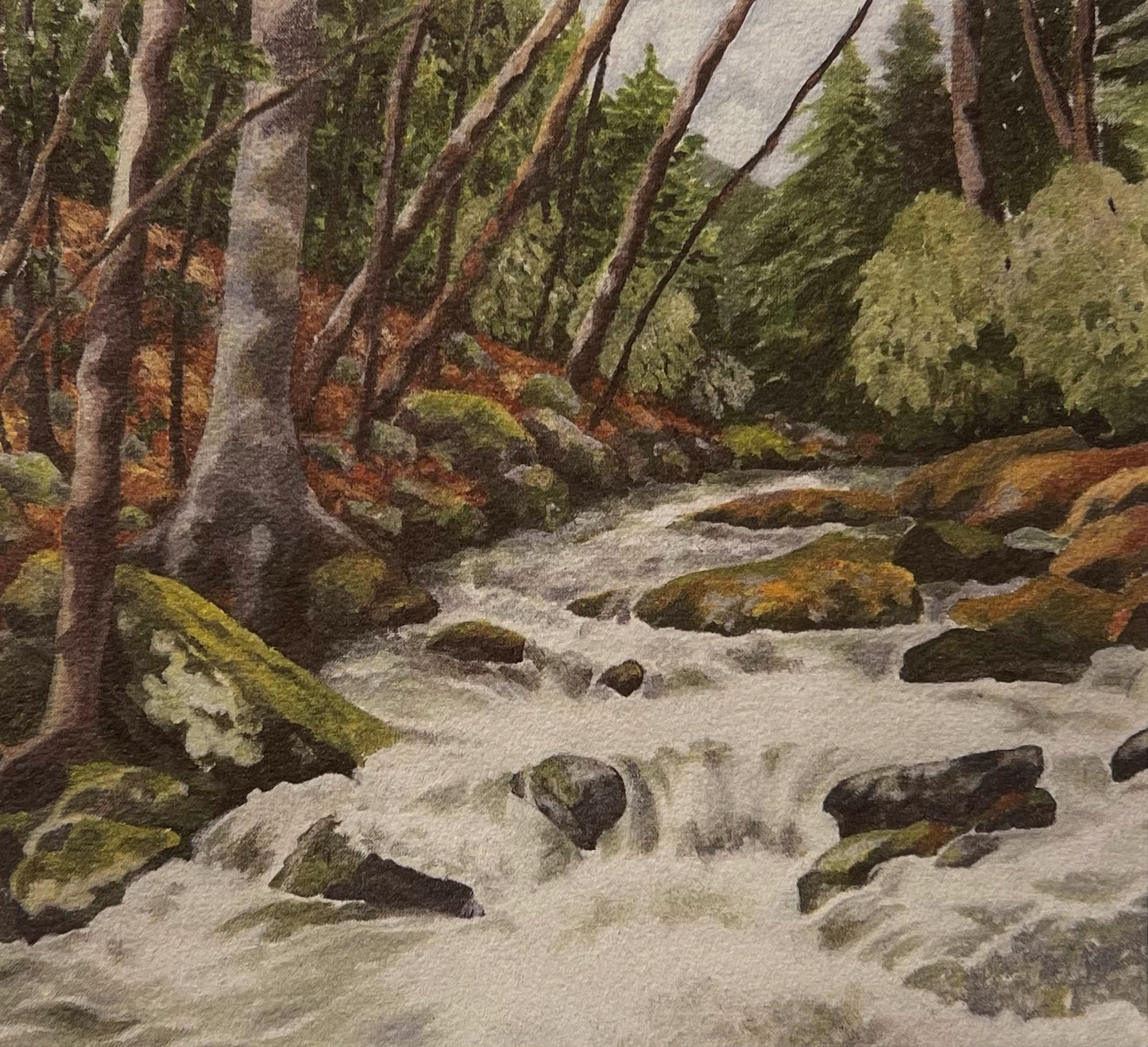 Mountain Stream