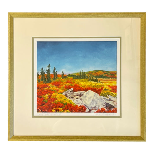Dolly Sods Wilderness