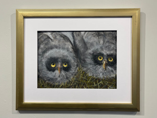 Owlets