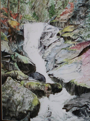 Woodland Waterfall