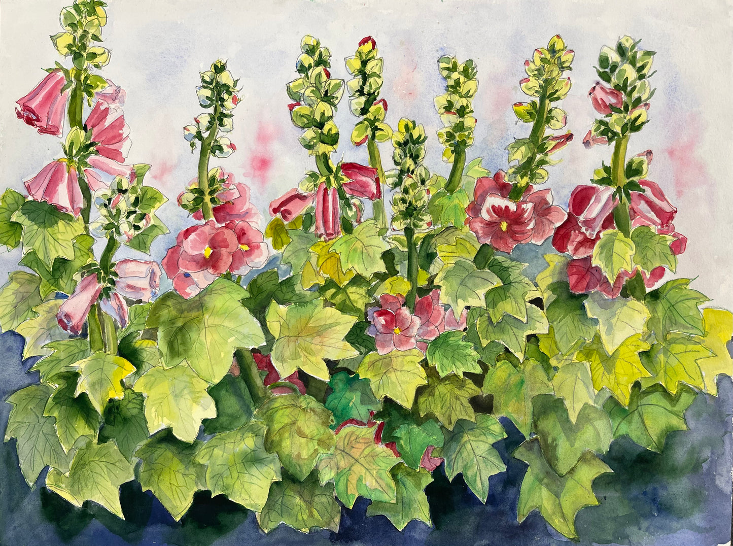 HollyHocks