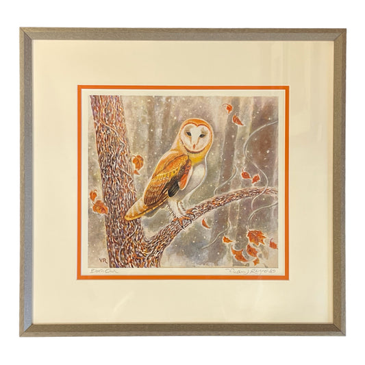 Barn Owl