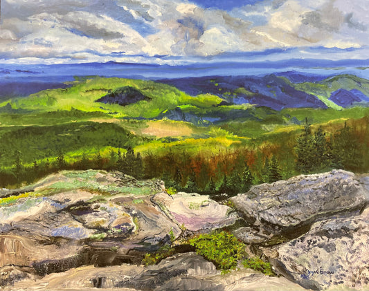 Print of Canaan Valley Dolly Sods