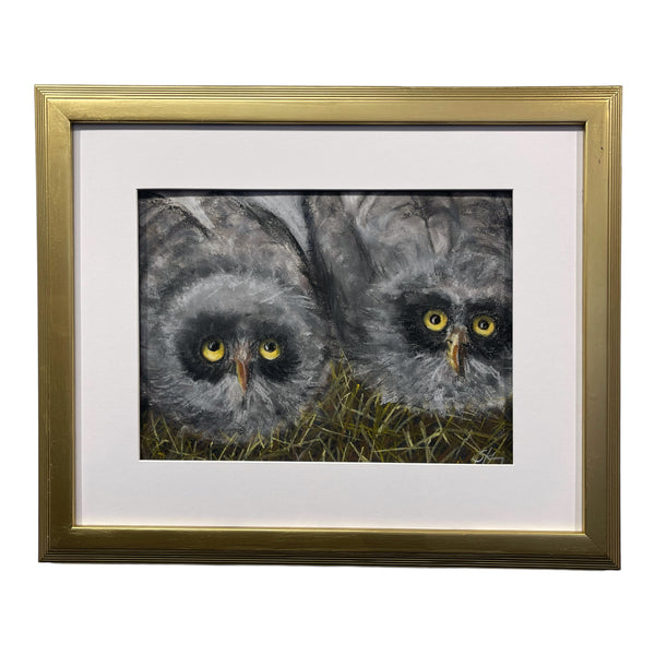 Owlets